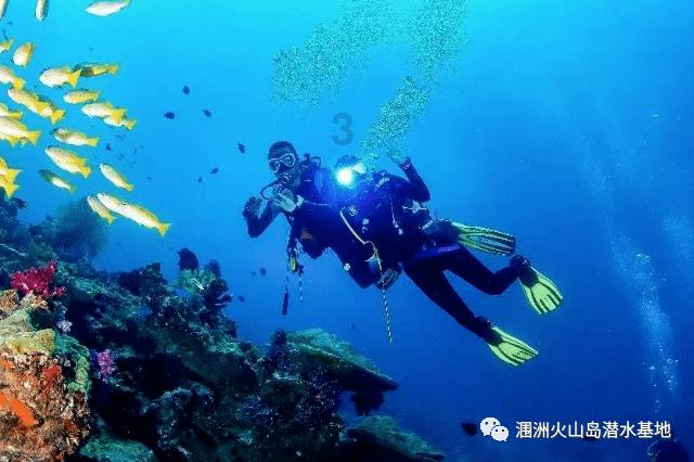 植物大战僵尸3